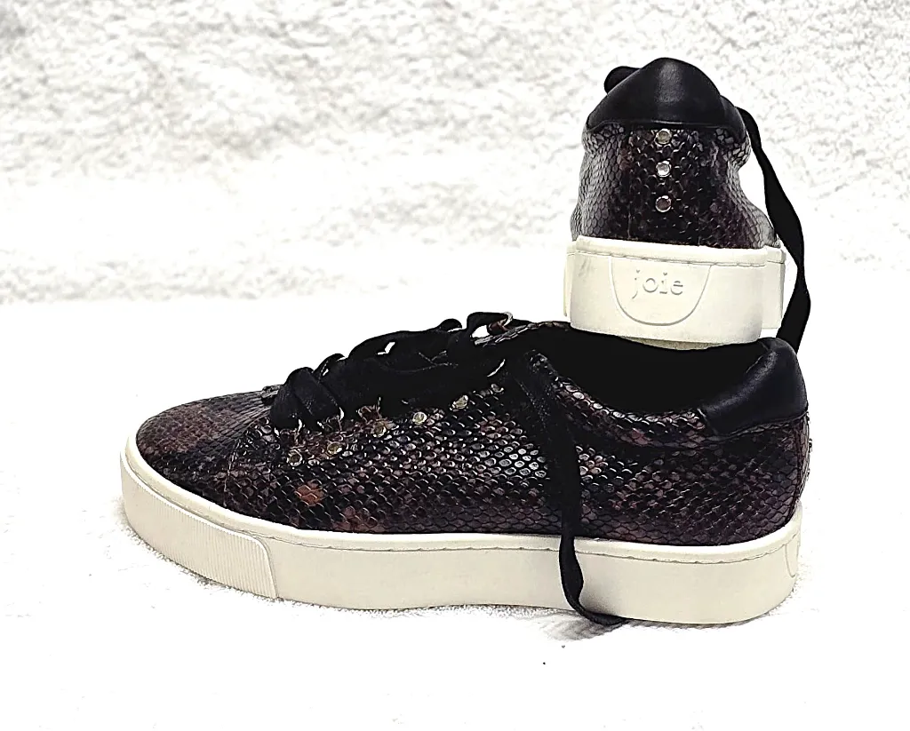 WhatsApp Image 2025-12-07 at 9.54.48 PM (12).webp