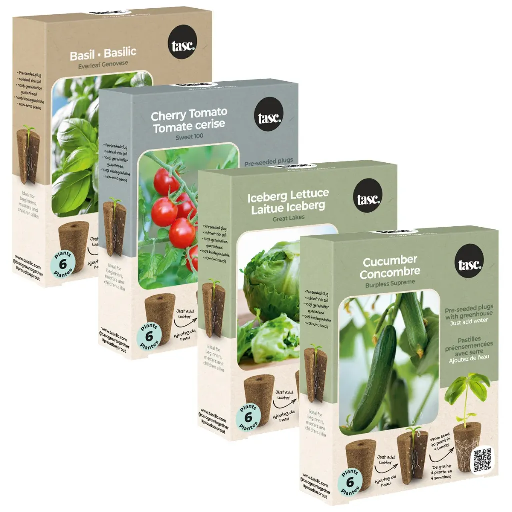 Salad Night Seed Plug Pack – 4 kits